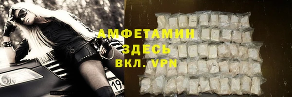 прущий лед Алзамай