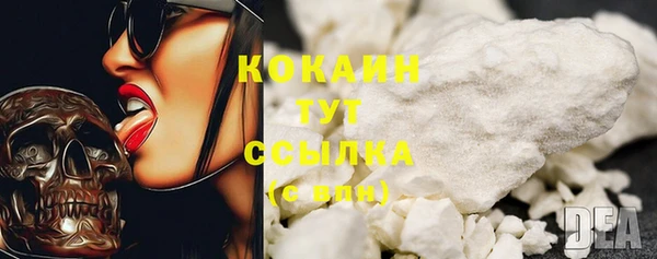 прущий лед Алзамай