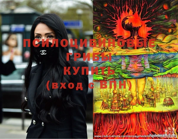 дмт Алексеевка