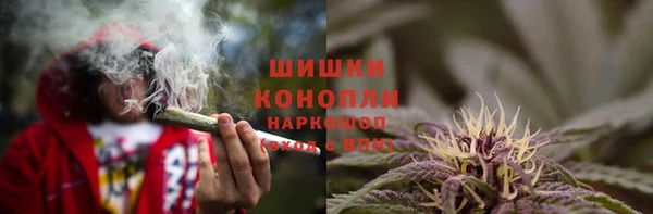 стаф Карпинск