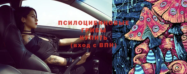дмт Алексеевка