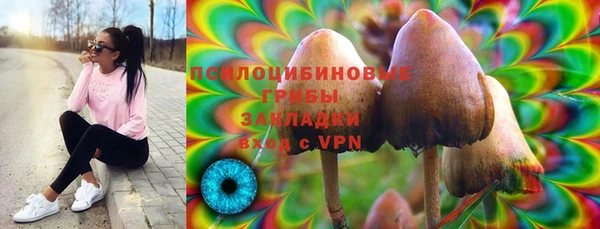 прущий лед Алзамай