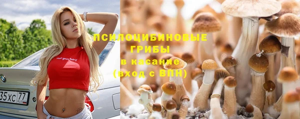 дмт Алексеевка