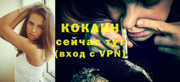 прущий лед Алзамай