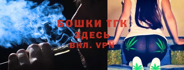 прущий лед Алзамай